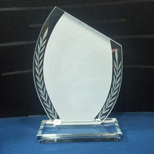 Slashed Awards